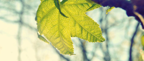 网页攻击器教程