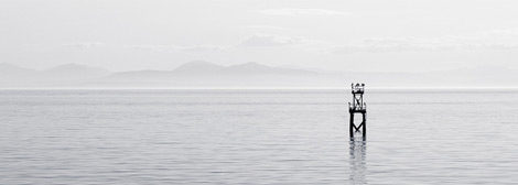 至尊版无敌的网站攻击测试